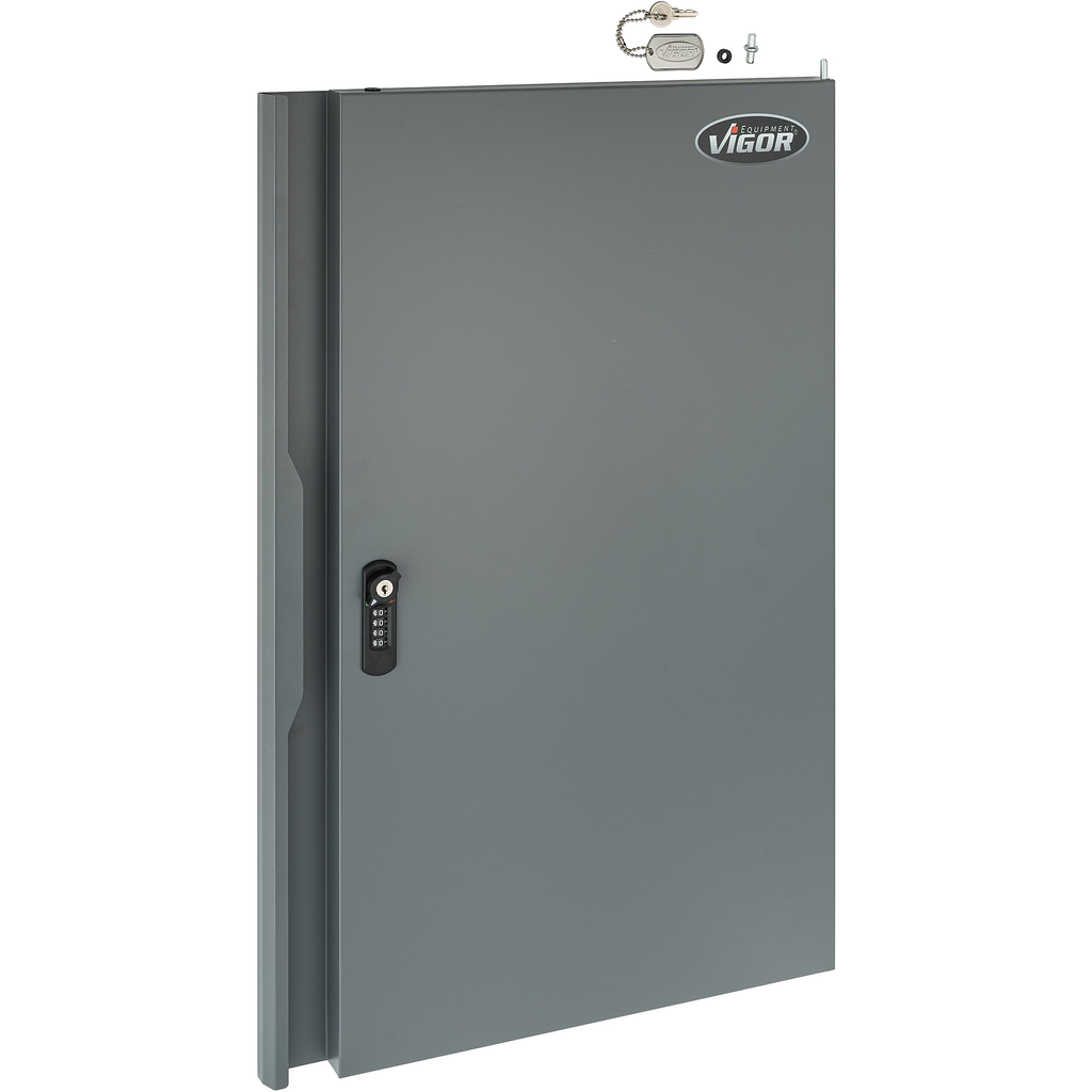 Replacement door (V6000-058T, VIGOR)
