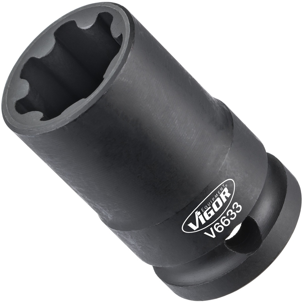 Socket V6633, VIGOR