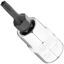 Atsuktuvo antgalis V7037-IPR10, VIGOR