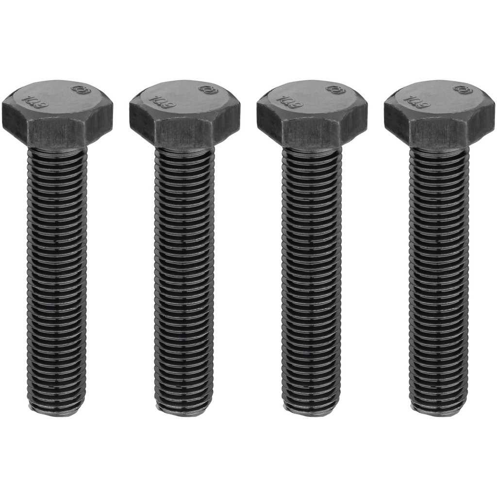 Screw set for VAG (V7071, VIGOR)