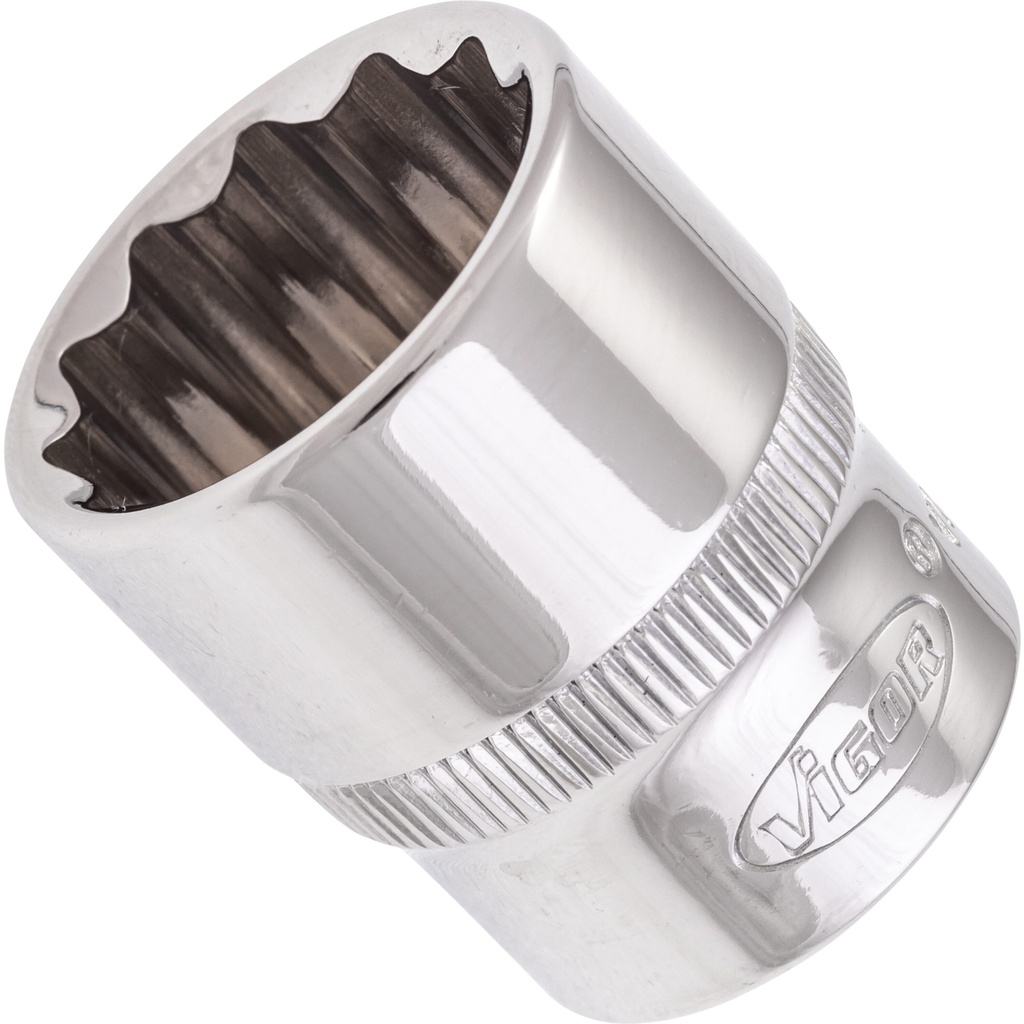 Socket V7538-19, VIGOR