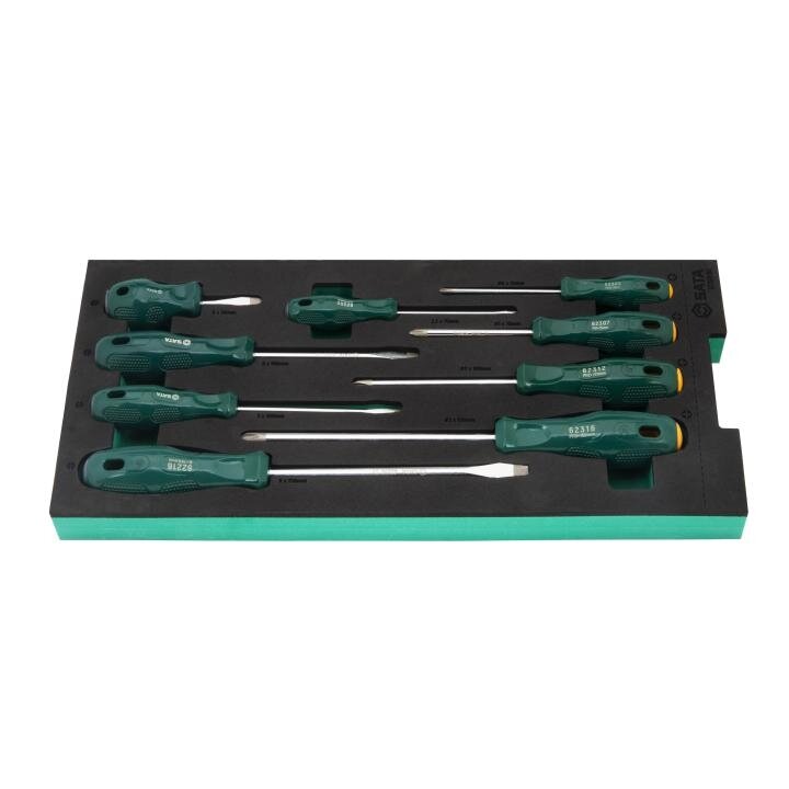 ⬡ Tray. Screwdriver set 9pcs (pl./PH) (ST09916G, SATA)