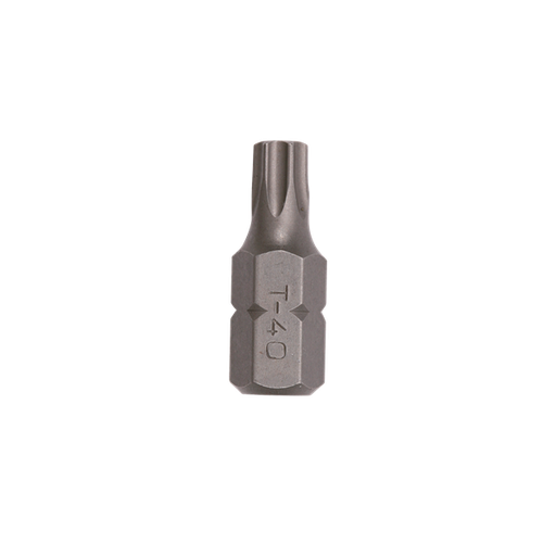 Antgaliai TORX