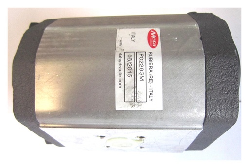[PE-P0228SM] Hidraulinis siurblys, dydis 2-28, 125 mm stūmokliui (PE-P0228SM, PITLIFT)