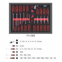 [711.1029] SCS atsuktuvų rinkinys, 29 vnt., 3/3 sisteminiame įdėkle (711.1029, KS TOOLS)