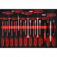 [811.1022] T-handle and screwdriver set in foam insert, 22 pcs (811.1022, KS TOOLS)