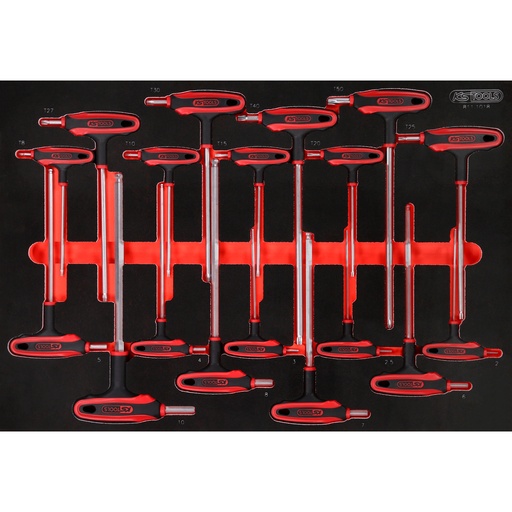 [811.1018] T formos šešiabriaunių ir TORX raktų rinkinys putplasčio įdėkle, 18 vnt. (811.1018, KS TOOLS)