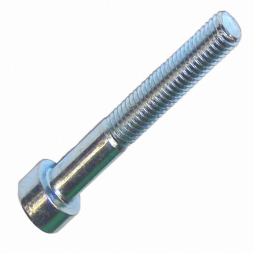 [206124] Hex socket head cap screw ISO 4762 M5x30, zinc plated (206124, RAVAGLIOLI)