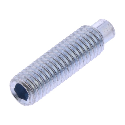[211040] Socket set screw dog point M8x30 UNI 5925 zinc-plated (211040, RAVAGLIOLI)