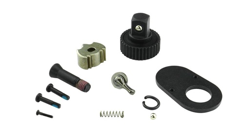 [41501343] Knarren-Reparatursatz für 41501340 Digitaler Drehmomentschlüssel (41501343, PICHLER)