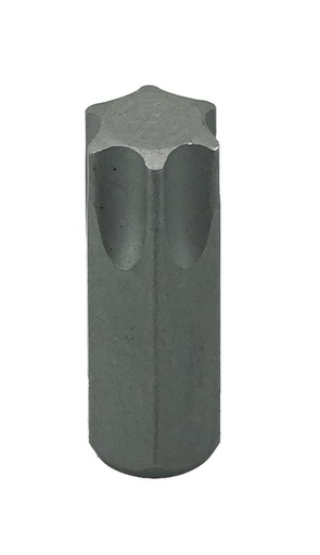 [5706550] Torxeinsatz ohne Bohrung Aufnahme 10 mm TX 55 x 30 (5706550, PICHLER)