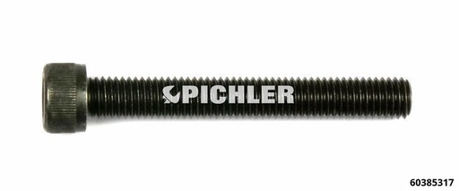 [60385317] Izvilkšanas skrūve M10 x 75 mm DIN 912 / 12.9, iekšējā sešstūra piedziņa (60385317, PICHLER)
