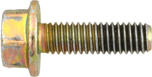 [60416527] Collar screw M6x20 DIN6901 BN2846 Gold for 60416530 (60416527, PICHLER)
