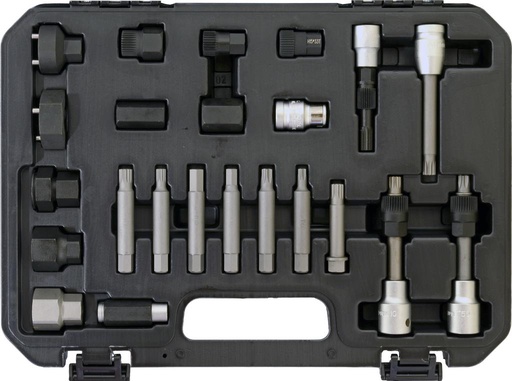 [60483300] Alternator bit socket set, 24 pcs (60483300, PICHLER)