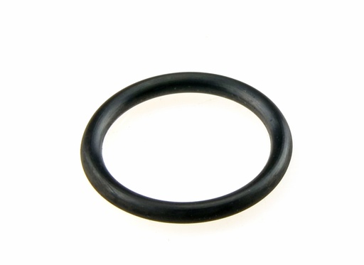 [61217102] O-Ring für Adapter EFTA 17 (61217102, PICHLER)