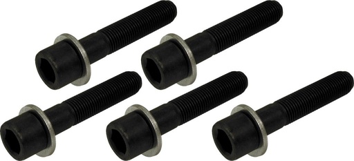 [61487330] Replacement wheel bolts, 5 pcs, M12×1.25, grade 10.9 (61487330, PICHLER)