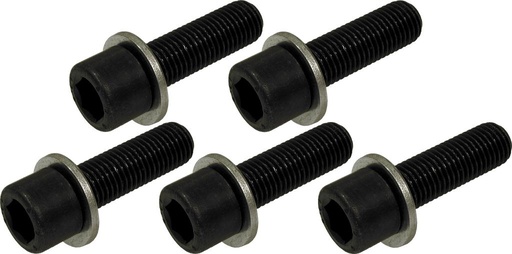 [6148734] Spare wheel screws 5 pcs. M12x1,5 quality 10.9 (6148734, PICHLER)