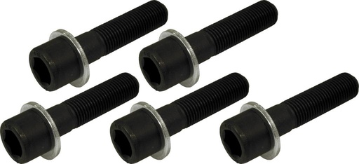 [61487350] Replacement wheel bolts, 5 pcs, M14×1.5, grade 10.9 (61487350, PICHLER)