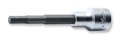 [74800039] Galvutė su šešiakampiu antgaliu 1/2 col., HEX 13 mm, ilgis 100 mm (74800039, PICHLER)