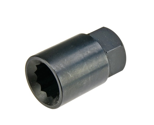 [79405013] Bremžu diska muciņa 19 mm, 12 stūru, sešstūra savienojums 13 mm (79405013, PICHLER)