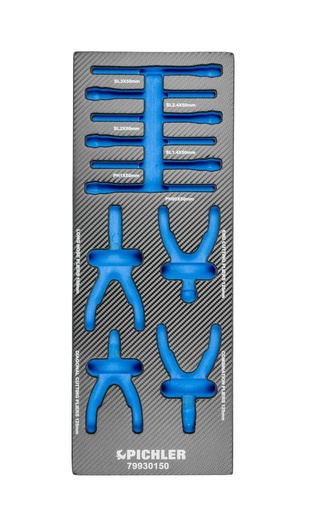 [79929150] Įrankių vežimėlio įdėklas tiksliųjų atsuktuvų ir mini replių rinkiniui (10 vnt.) 79930150 (79929150, PICHLER)