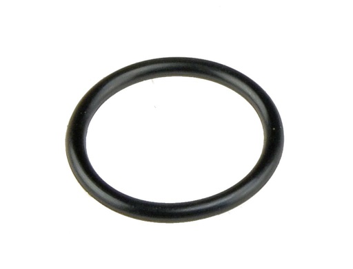 [91377313] Rubber ring (91377313, PICHLER)