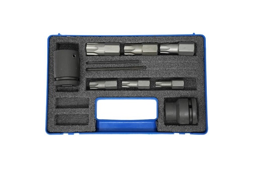 [9887500] Smūginių Torx antgalių rinkinys, 8 vnt.: šešiakampiai laikikliai 16 ir 22 mm, TX55, 60, 70, 80, 90, 100 (9887500, PICHLER)