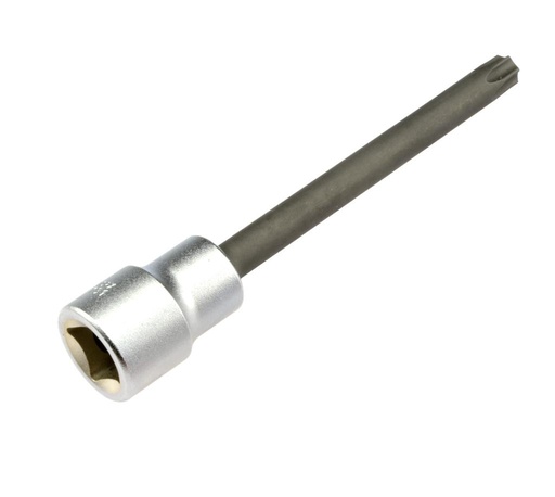 [997050041] Galvutė su Torx antgaliu TX40 x 100 mm, be skylės, 3/8 col. pavara, apvalus kotas (997050041, PICHLER)