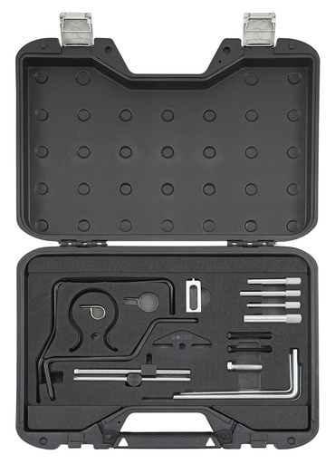 [829041] Variklio blokavimo įrankių rinkinys PSA/Fiat DW10/DW12 - 2.0/2.2 (829041, SONIC)