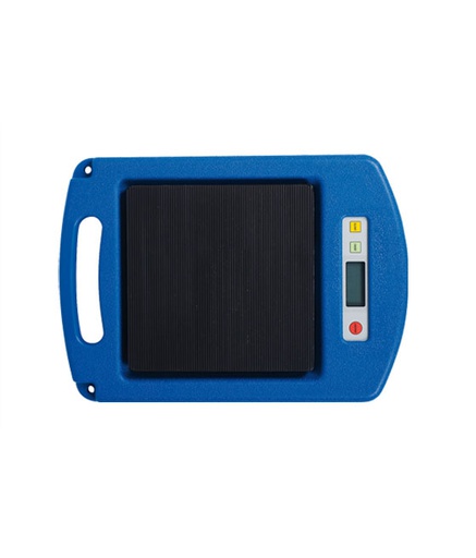 [AEK 302] Electronic scales up to 100 kg (AEK 302, ECOTECHNICS)