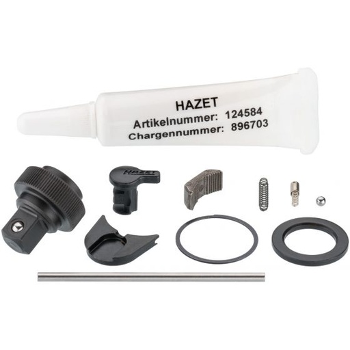 [863HP/11] Replacement set for ratchet wheel (863HP/11, HAZET)