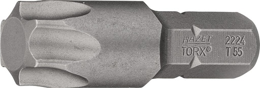 [2224-T55] Atsuktuvo antgalis, žvaigždinis Torx T55, 5/16″ (8 mm) šešiabriaunis (2224-T55, HAZET)