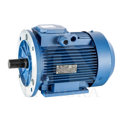 [420] Elektros variklis 5,5 kW (420)