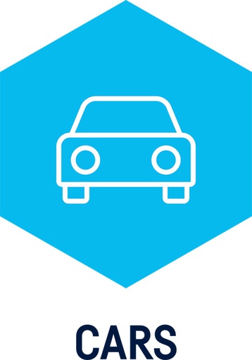 [W015061902] Autocom CARS Standard licence for ICON device, 1 year (W015061902, AUTOCOM)