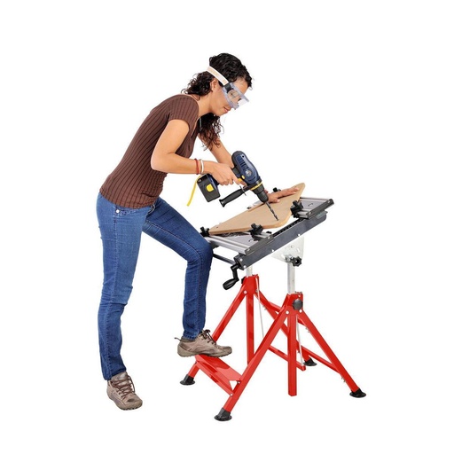 [WST20] Work bench (WST20, HOLZMANN)