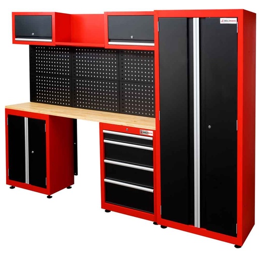 [WESS13] Workshop organisation collection (WESS13, HOLZMANN)