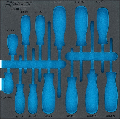 [163-100LN] Two-component foam tool insert (163-100LN, HAZET)