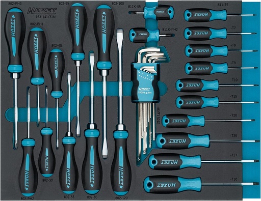 [163-141/31N] Screwdriver set (163-141/31N, HAZET)