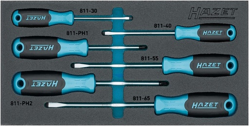 [163-265/6N] Screwdriver set (163-265/6N, HAZET)