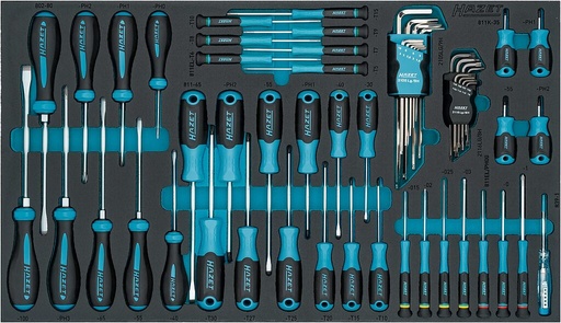 [163-480/57N] Screwdriver set (163-480/57N, HAZET)