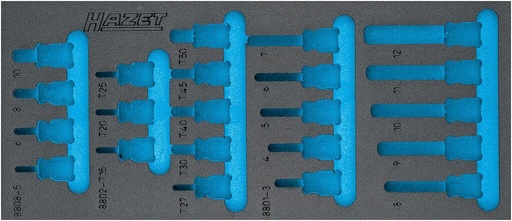 [163-571L] Divkomponentu putu ieliktnis instrumentiem 400×170×35 mm (163-571L, HAZET)