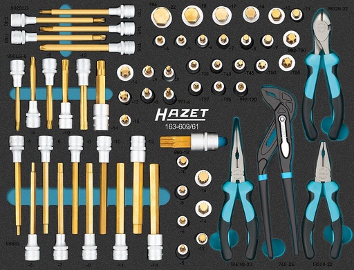 [163-609/61] Screwdriver socket set (163-609/61, HAZET)