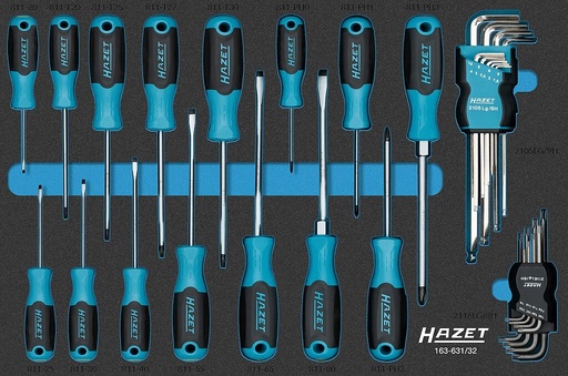 [163-631/32] Screwdriver set (163-631/32, HAZET)