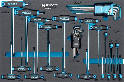 [163-637/37] Tool set (163-637/37, HAZET)