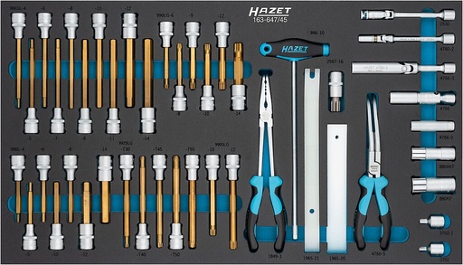 [163-647/45] Tool set (163-647/45, HAZET)