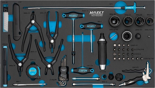 [163-650/60] Tool set (163-650/60, HAZET)
