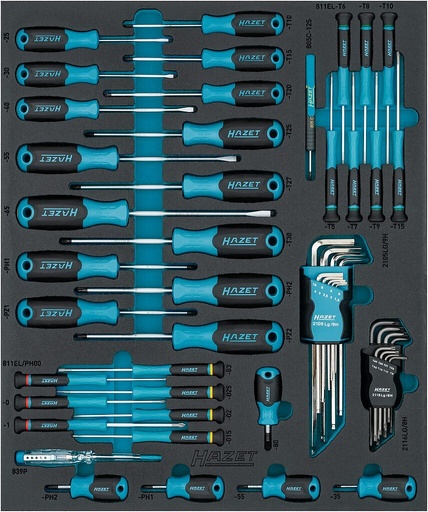 [163D-6/53N] Screwdriver set (163D-6/53N, HAZET)