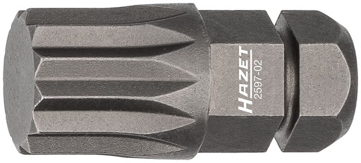 [2597-02] Atsuktuvo antgalis (bitas) (2597-02, HAZET)