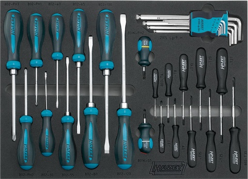 [163-107/31-BMW] Tool assortment BMW (163-107/31-BMW, HAZET)