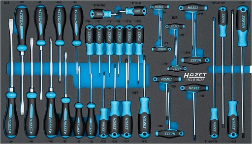 [163-619/35] Skrūvgriežu komplekts, 35 gab., 691 x 392 mm (163-619/35, HAZET)